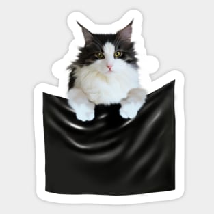 Ragamuffin Cat, Funny Cat Inside Pocket Sticker